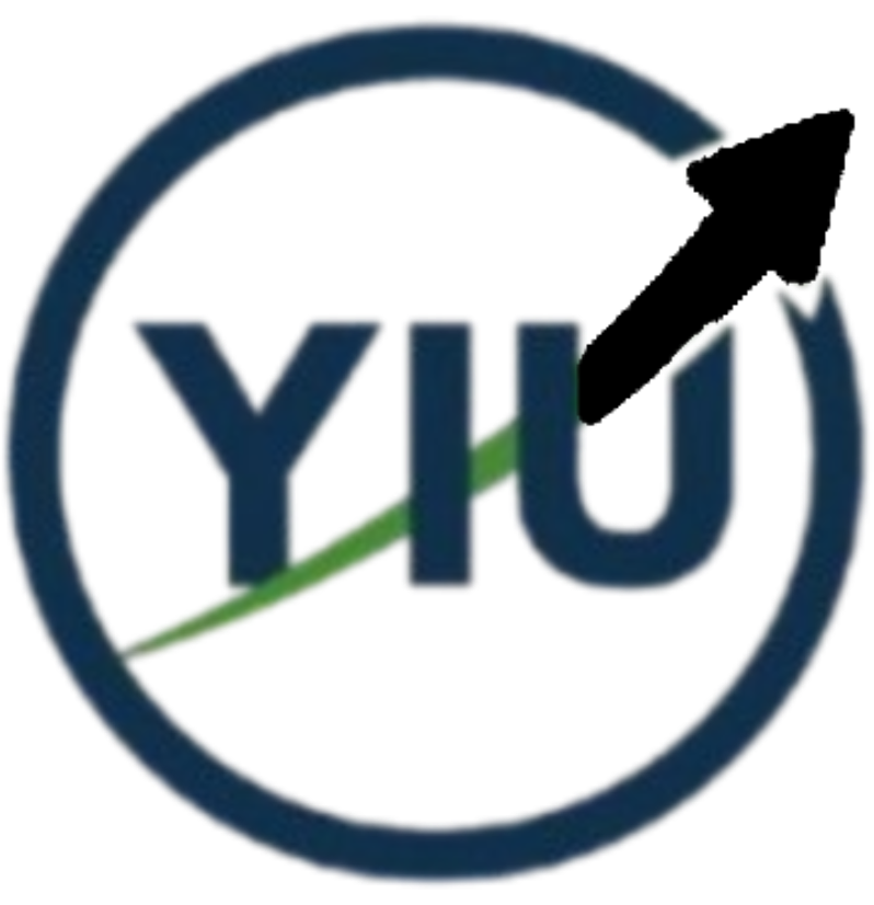 Young Investors United project